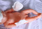 非編まれた生地の使い捨て可能な赤ん坊プロダクト新生の赤ん坊手の手袋L Sのサイズ サプライヤー